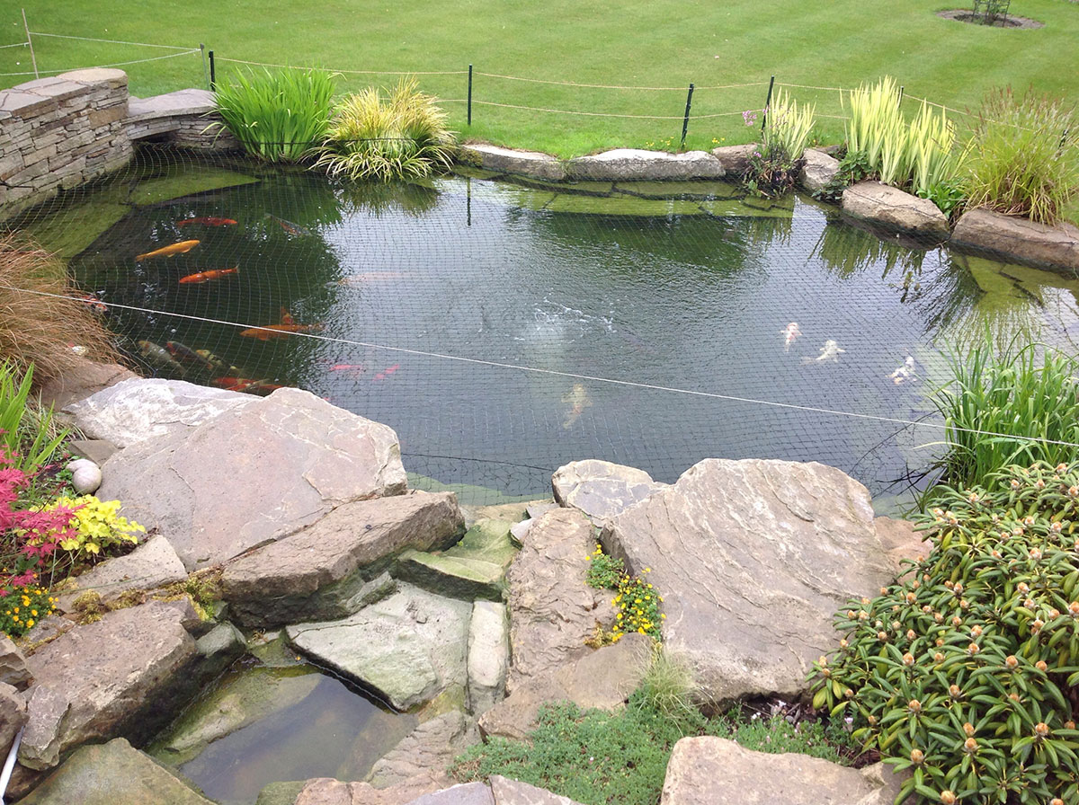 Mini digger hire in Havering for pond excavation and groundworks