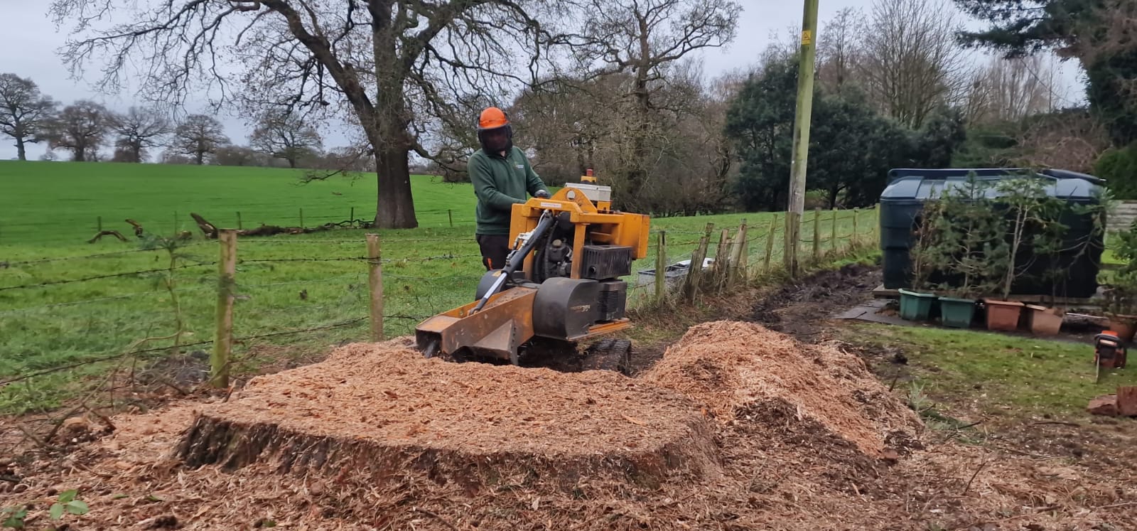 Tree stump removal service in Havering with stump grinder